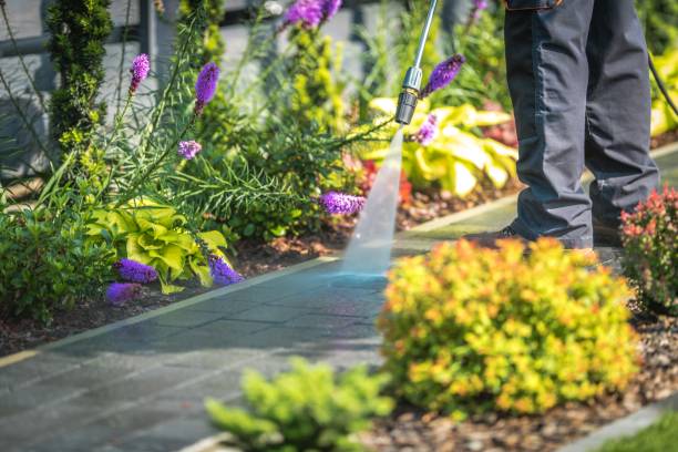 Best Driveway Pressure Washing  in Leon Valley, TX