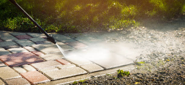 Best Graffiti Removal  in Leon Valley, TX