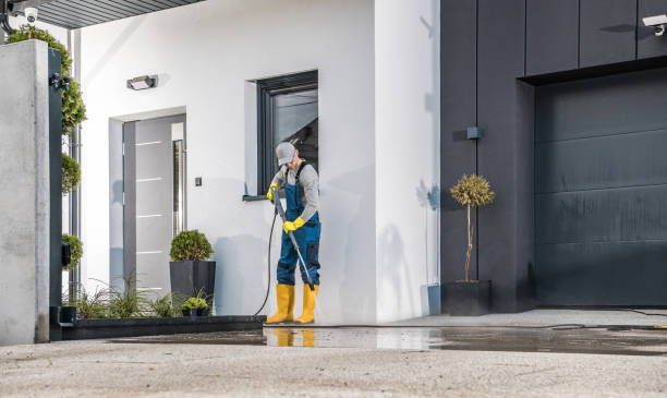 Best Roof Washing  in Leon Valley, TX